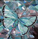 Butterflies evoking movement